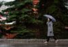 Январское потепление: какая погода будет в Одессе на следующей неделе