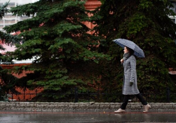Январское потепление: какая погода будет в Одессе на следующей неделе Январское потепление: какая погода будет в Одессе на следующей неделе