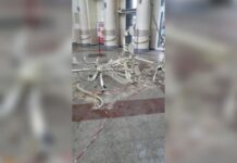 На вокзале в Днепре рухнула люстра