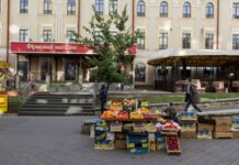 «Бабушки» на рынках продают овощей и фруктов на 35 млрд грн в год, – эксперт