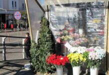 Чисто одесская история: на Привозе торгуют елками даже после Нового года