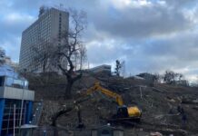 Возле стадиона «Олимпийский» в Киеве срубили деревья – будут строить 30-этажный дом