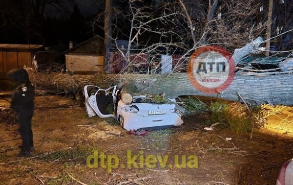 В Киеве упавшее дерево раздавило легковушку: погиб человек В Киеве упавшее дерево раздавило легковушку: погиб человек