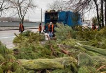 На улицах Одессы торговцы бросили тысячи елок