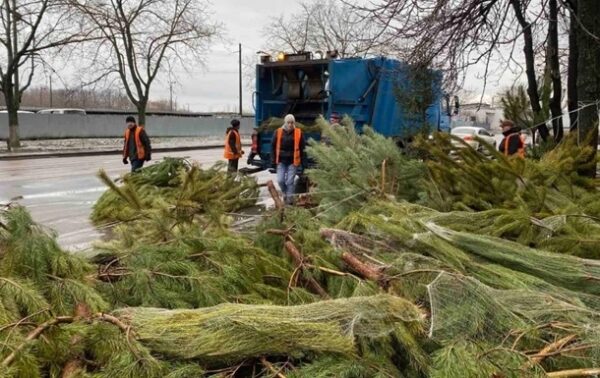 На улицах Одессы торговцы бросили тысячи елок На улицах Одессы торговцы бросили тысячи елок