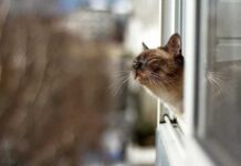 Узнай, какая погода будет в Одессе 6 января