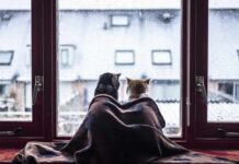 В «Теплоснабжение Одессы» рассказали, как сохранить тепло: советы