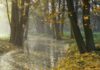 Дождливый сентябрь: какая погода будет в Одессе на следующей неделе