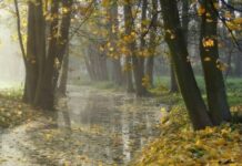 Дождливый сентябрь: какая погода будет в Одессе на следующей неделе