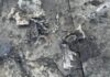 Во время массированной ракетной атаки над Одесской областью сбили четыре «Калибра»