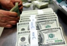 Курс валют в Украине 30 октября 2022: сколько стоит доллар и евро