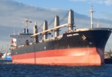 Украина вынужденно приостановила экспорт зерна из портов Большой Одессы (обновлено)