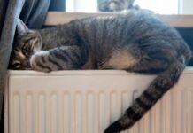 Получи ответ: когда отопление появится в домах одесситов