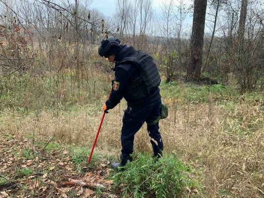 На Харківщині двоє людей загинули внаслідок підриву на міні