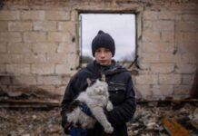 Карта боевых действий в Украине 8 декабря