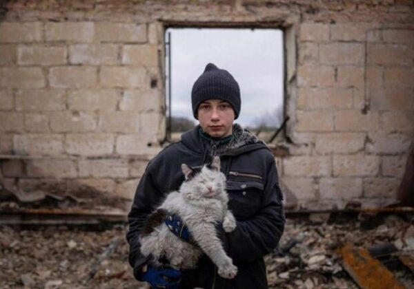 Карта боевых действий в Украине 8 декабря Карта боевых действий в Украине 8 декабря