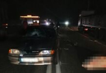 В Одесской области произошло смертельное ДТП с участием грузовика: погиб пешеход
