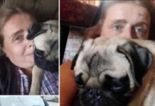 Брала животных на передержку и доводила до смерти: в Одессе разыскивают живодерку