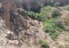 В Одесской области ликвидировали скотомогильник