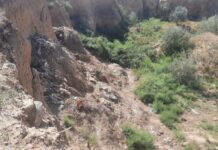 В Одесской области ликвидировали скотомогильник