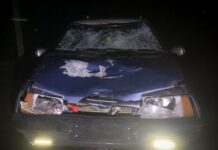 В Одесской области пьяный водитель на смерть сбил двух женщин