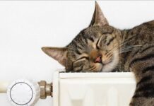 Некоторые одесситы сегодня остались без отопления