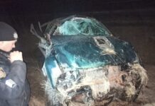 На трассе Одесса – Новоазовск машина упала в кювет: есть пострадавшие