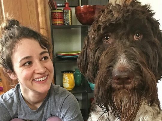 Думали, що буде серцевий напад: у США пес з’їв декілька тисяч доларів