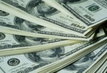 Курс валют в Украине 25 марта 2024: сколько стоит доллар и евро