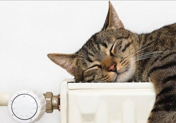 Стало известно, когда в Одессе закончится отопительный сезон Стало известно, когда в Одессе закончится отопительный сезон