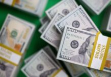 Курс валют в Украине 20 июня 2024 года: сколько стоит доллар и евро