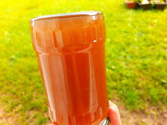 Домашній м’ятний сироп: такий не купите в магазині