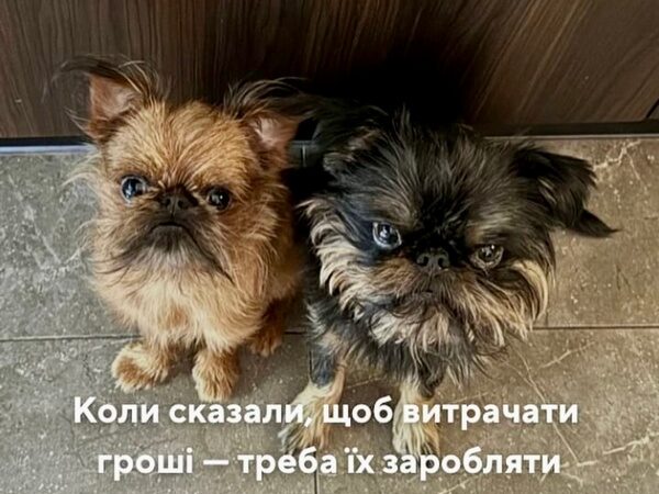 «Розсмішили»: мережа відреагувала на світлини домашніх улюбленців відомого шеф-кухаря