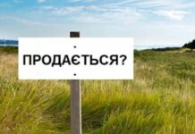 В Одесской области оказалась самая дешевая земля в Украине