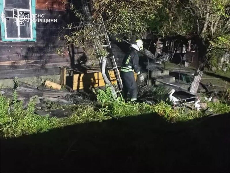 Трагедія на Київщині: на пожежі загинули бабуся і онук