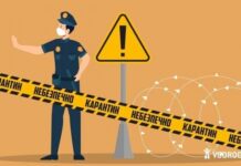 Город в Одесской области частично закрыли на карантин из-за бешенства