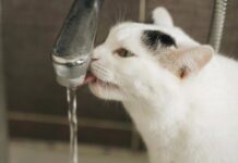 Завтра в Одессе у некоторых горожан отключат воду