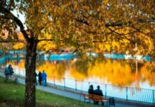Концерт группы «Ляпис Трубецкой» и спектакль «Семейный альбом»: куда пойти в Одессе на следующей неделе