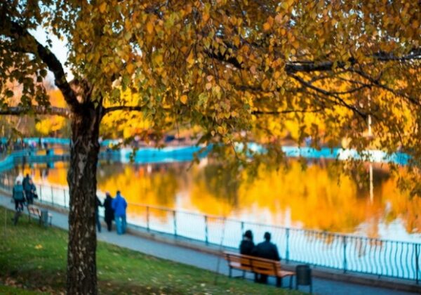 Концерт группы "Ляпис Трубецкой" и спектакль "Семейный альбом": куда пойти в Одессе на следующей неделе Концерт группы "Ляпис Трубецкой" и спектакль "Семейный альбом": куда пойти в Одессе на следующей неделе