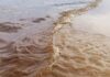 В Одессе покраснело море: что это значит и можно ли купаться