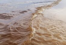 В Одессе покраснело море: что это значит и можно ли купаться