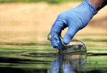 Вода в реках и озерах Одесской области может быть опасна