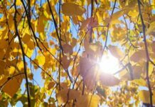 Ночью ноль: какая погода будет в Одессе на следующей неделе