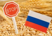 В ЄС знайшли ще один спосіб завдати збитків рф: про що йде мова