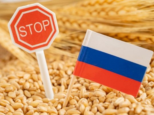 В ЄС знайшли ще один спосіб завдати збитків рф: про що йде мова