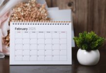 Какие важные даты отметим в феврале 2025 года: календарь праздников