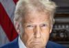 Старт переговоров Трампа и Путина об окончании войны: что известно