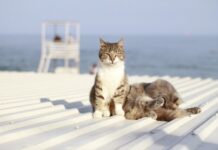Спектакль «Осторожно. Бывшие» и концерт Тины Кароль: куда пойти в Одессе в эти выходные