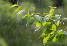 Со значительным дождем: какая погода будет в Одессе на следующей неделе