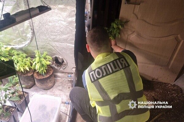 Кокаин в багажнике и домашняя плантация конопли: в Одессе разоблачили наркодельца Кокаин в багажнике и домашняя плантация конопли: в Одессе разоблачили наркодельца
